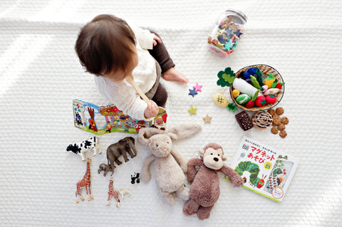 Do Children's Toys Make a Difference?