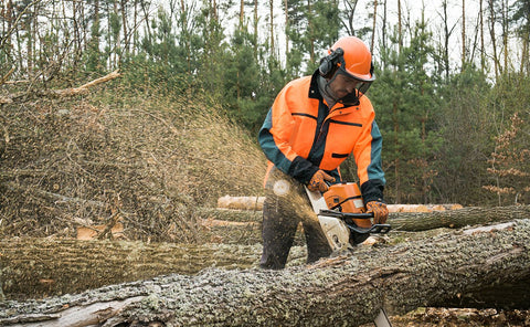 A Complete Beginner’s Guide to Chainsaws