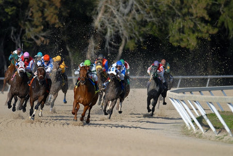 Understanding Track Conditions and How They Impact Betting