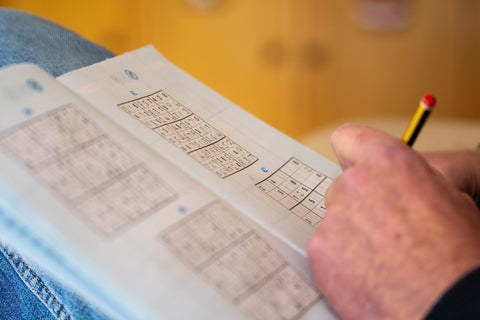 Are Logic Puzzles Good For Your Brain?