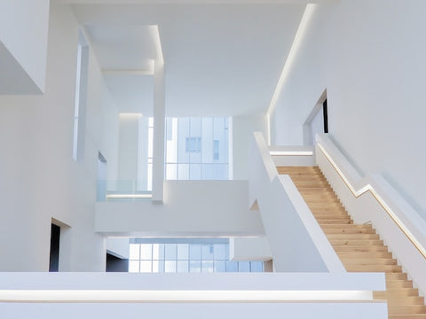 Structure for Success: Bachelor of Architecture