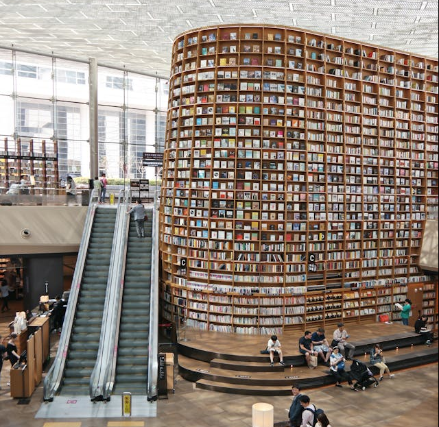 Educational Library Innovative Architectural Solutions for Educational Spaces - Wooden Earth