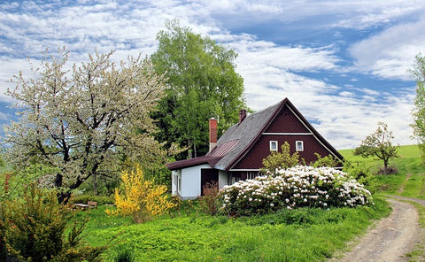 Modification 101: Adding Wood Finishes to Enhance the Look and Feel of Your Home