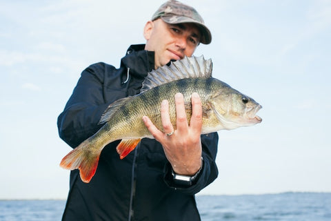 Bass Fishing and its Reflection in Wood Carvings