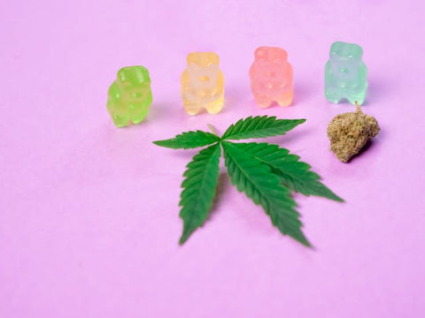 Chewy Goodness: How Hemp Gummies Can Enhance Your Wellness