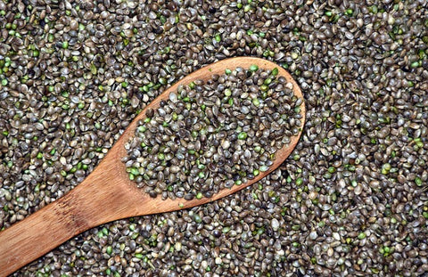 Sustainable Hemp Products for Everyday Life