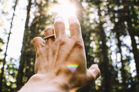 The Role of Holistic Health in Achieving Fitness Excellence