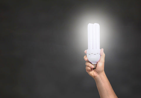 What are the 4 Types of Lamps?