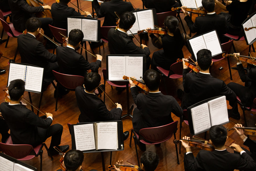What are the Instruments in an Orchestra? - Wooden Earth