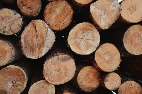Betting on Timber: The Wooden Roots of Oklahoma's Gambling Tradition