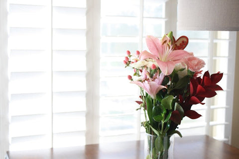 How Do You Choose the Right Plantation Shutters for Your Sydney Property?