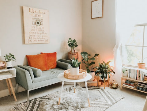 Enhancing the Ambiance with CBD and Fine Furnishings