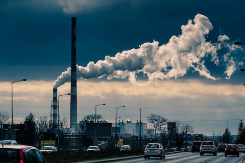 How to Reduce Your Personal Carbon Footprint