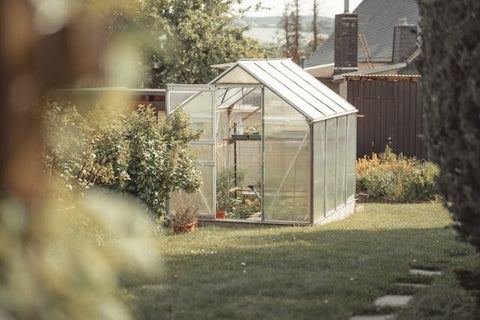 Greenhouse Kits: Your Gateway to Year-Round Gardening