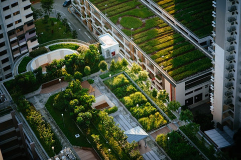 The Benefits of Urban Gardening: Why Everyone Should Try It