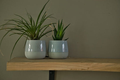 Mix and Match: Combining Different Planters for a Dynamic Landscape Look