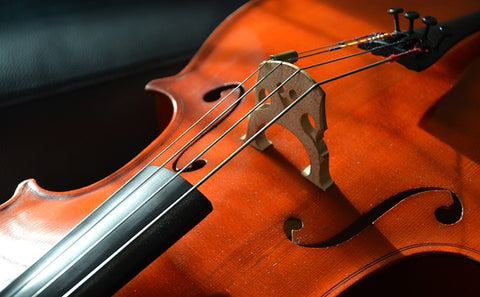 How Wood Selection Impacts the Tone of Violins and Cellos