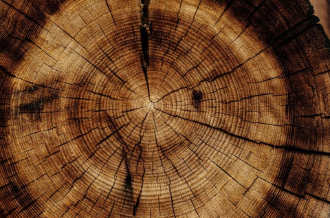 The Most Expensive Varieties of Wood in the World