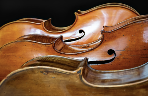 Which Kind of Wood the Cellos from 2cellos are Made from? - woodenearth.com