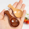 Wood Salt Spoon