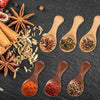 Wood Salt Spoon