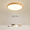 Modern Ceiling Lights