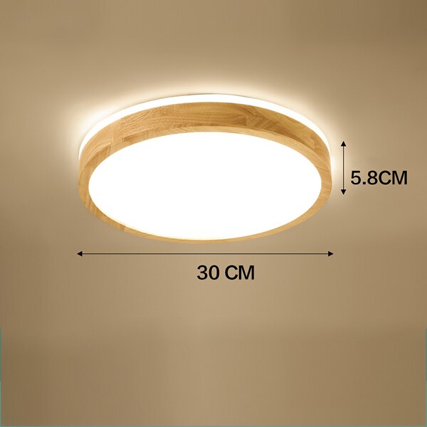 Dimmable Ceiling Light