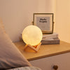 Round Moon Table Lamp
