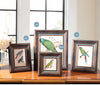 Cool Picture Frames