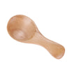 Wood Salt Spoon