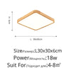 Modern Ceiling Lights